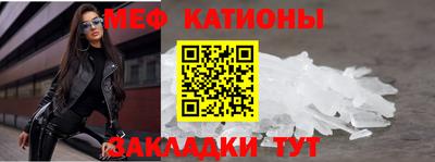 прущие грибы Сланцы