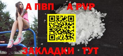 дурь Кингисепп